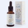 Oleolito di camomilla con olio di oliva biologico, estratto totale CO2 camomilla blu biologico, vitamina E